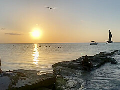 Bikini Watch at Isla Holbox