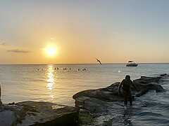 Bikini Watch at Isla Holbox