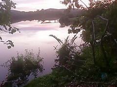 I Took The Pregnant Maids Niece To The Scrub