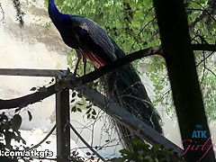 Gia Paige in Gia Has Lots Of Fun At The Zoo - ATKGirlfriends