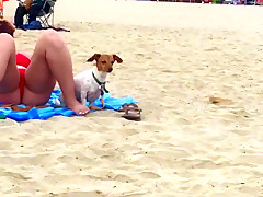 Big titty fat ass chubby milf at the beach