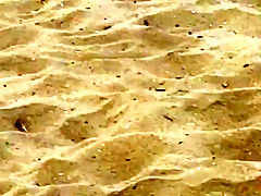 Big titty fat ass chubby milf at the beach