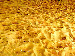 Big titty fat ass chubby milf at the beach