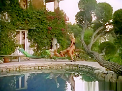 Exotic pornstars Claudia Chase, Amber Michaels and Sheila Kiss in best dildos/toys, lingerie adult clip