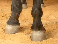 Amazing Japanese slut Mirai Kamata in Fabulous Outdoor, Small Tits JAV clip