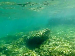 Vive la plage les bisous !