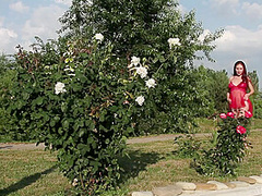 Ledona Atarel