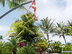 Jovan Jordan & Mini Stallion in Small But Mighty - Brownbunnies