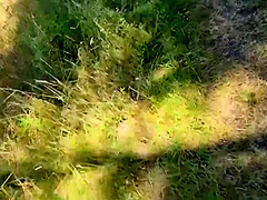 Outdoor Wasserschlacht Bringt Erotischen Spab!! 8 Min