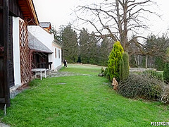 Exotic Xxx Video Milf Best