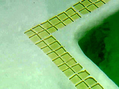 Lily Love - Hot Oil Massage