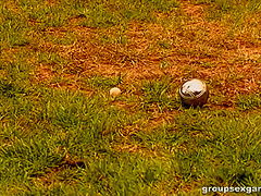 Petanque & Strap-on Sex Party In Hungary (full)