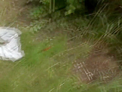 Ria Hill In Er Outdoor Sex