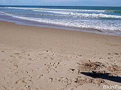 Big ass bikini amateurs playing beach tennis