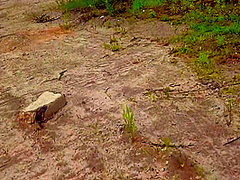 Pleeeeease Dont Stop Cum Inside Me 8 Min