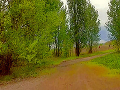 Pleeeeease Dont Stop Cum Inside Me 8 Min