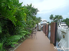 Ryan Smiles In Pawg 17