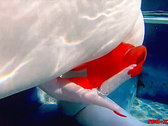 Busty Redhead Wife Masturbates While Outside In The Pool - Red Xxx