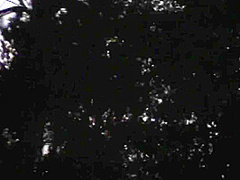 Amazing Sex Clip Milf New , Its Amazing