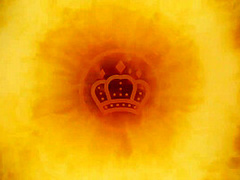 Roxy Panther Gets Fucked In The Sweaty Amazon