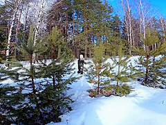 I Got Lost In The Forest And Forester Vity With Andre Love