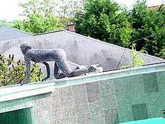 Tyra Moon - Sexy Zentai - Watch4Fetish