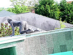 Tyra Moon - Sexy Zentai - Watch4Fetish