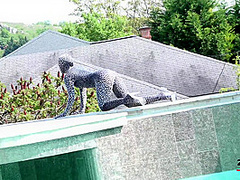 Tyra Moon - Sexy Zentai - Watch4Fetish