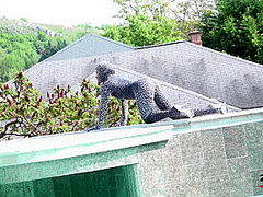 Tyra Moon - Sexy Zentai - Watch4Fetish