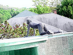 Tyra Moon - Sexy Zentai - Watch4Fetish