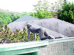 Tyra Moon - Sexy Zentai - Watch4Fetish