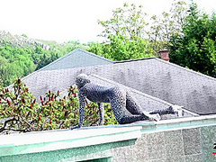 Tyra Moon - Sexy Zentai - Watch4Fetish