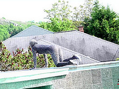 Tyra Moon - Sexy Zentai - Watch4Fetish