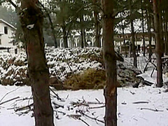 Ficken In Den Vororten - Episode 7