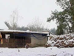 Ficken In Den Vororten - Episode 7