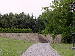 Lucky Guy Fucks Five Nymphos In The Park