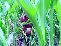 Cute Girl Tricked Skinny Classmate To Lesbian Public Sex On