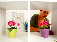 Top Shelf Titties - DownblouseJerk