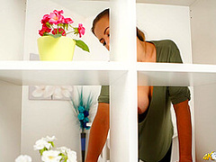 Top Shelf Titties - DownblouseJerk