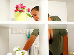 Top Shelf Titties - DownblouseJerk