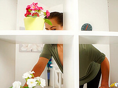 Top Shelf Titties - DownblouseJerk