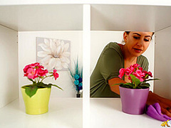 Top Shelf Titties - DownblouseJerk