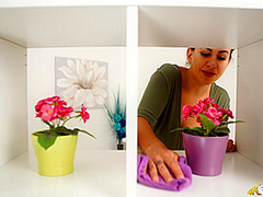 Top Shelf Titties - DownblouseJerk