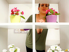 Top Shelf Titties - DownblouseJerk
