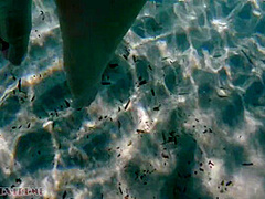Underwater Footjob Sex & Nipple Squeezing Pov At Public Beach - Big Natural Tits Pawg Bbw Wife Being Kinky On Vacation