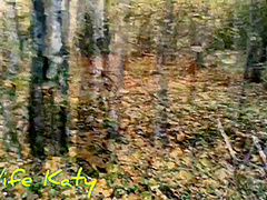 In The Mystical Forest On Halloween A Ghost Fucked Me In Anal And Finished On My Face With Mystical Sperm