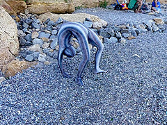 Full Body Catsuit On The Beach - Watch4Fetish