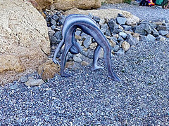 Full Body Catsuit On The Beach - Watch4Fetish