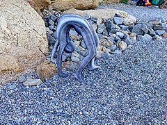 Full Body Catsuit On The Beach - Watch4Fetish