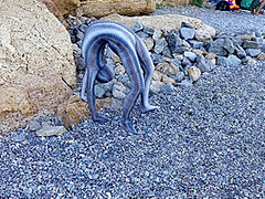 Full Body Catsuit On The Beach - Watch4Fetish